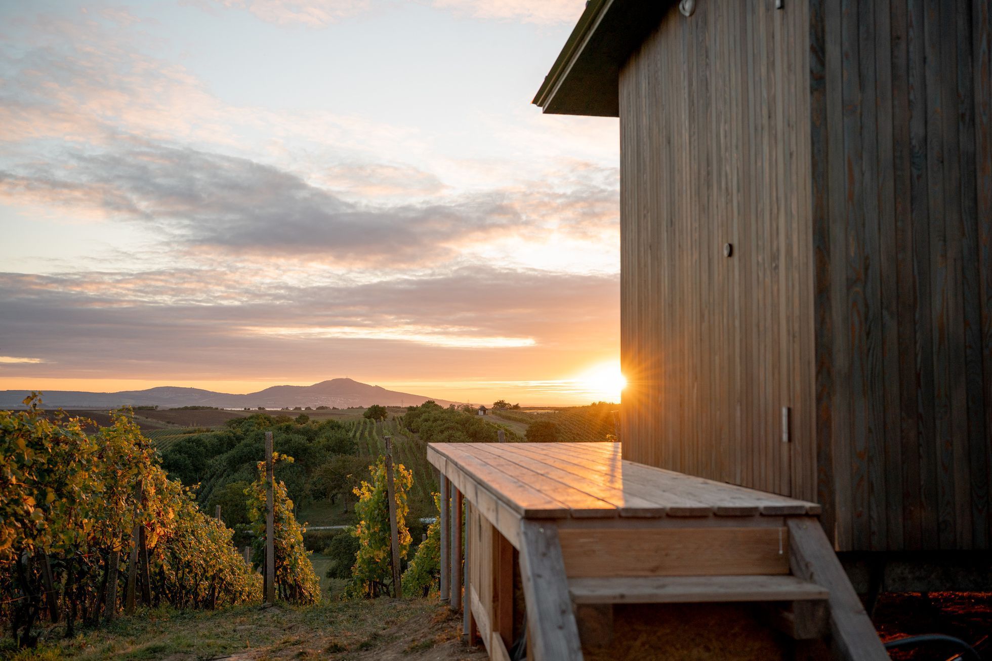 Glamping Ve vinohradě
