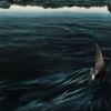 Žraloci v Paříži, film, 2024