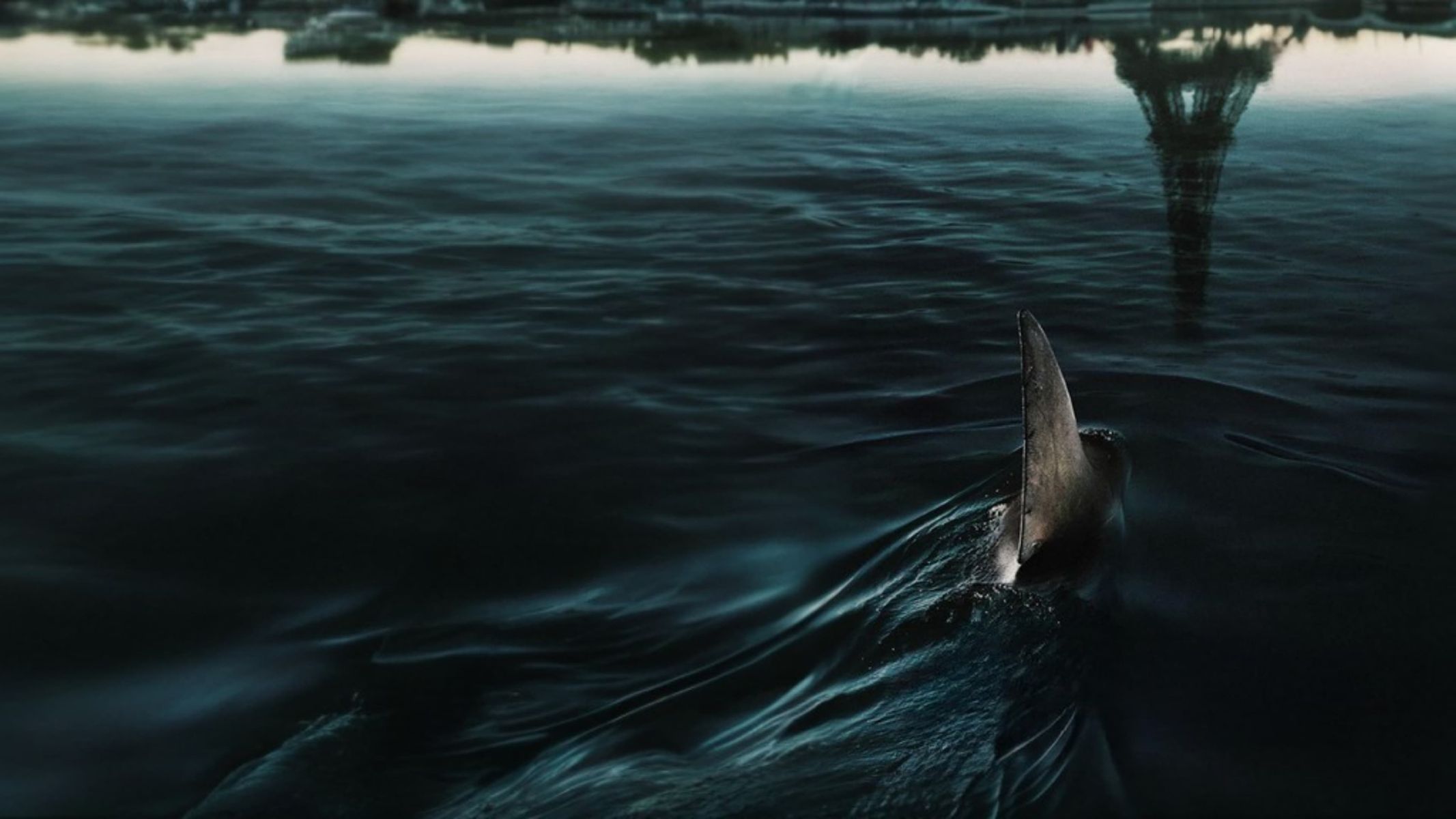 Žraloci v Paříži, film, 2024