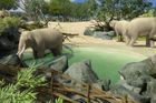 Nový výběh pro slony v pražské zoo