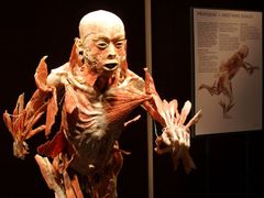Kontroverzní výstava preparovaných lidských těl v pražské Lucerně je připravena.
