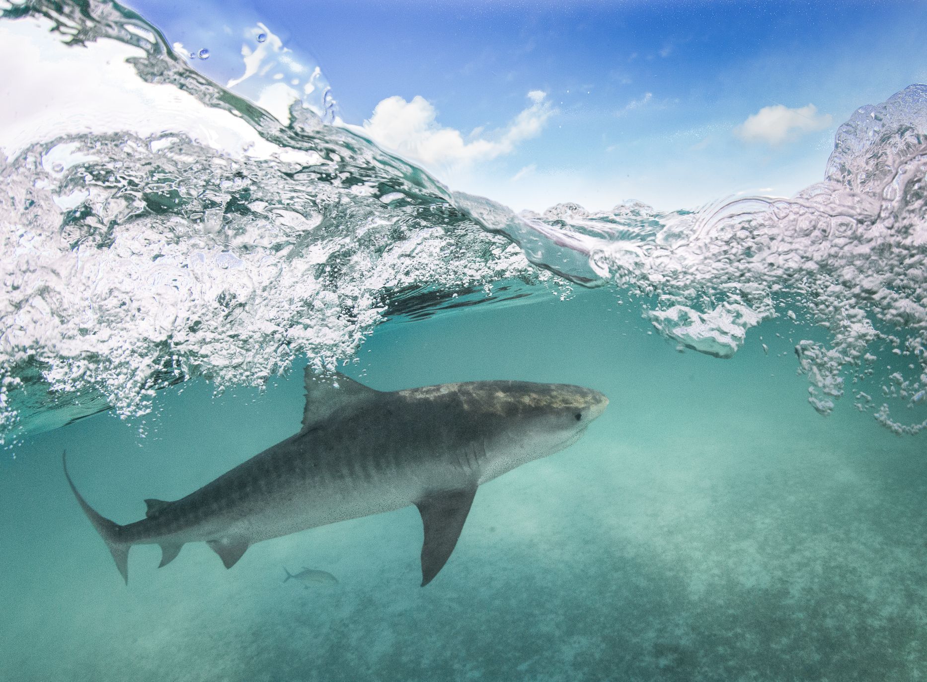 Papahānaumokuākea Marine National Monument na Havaji