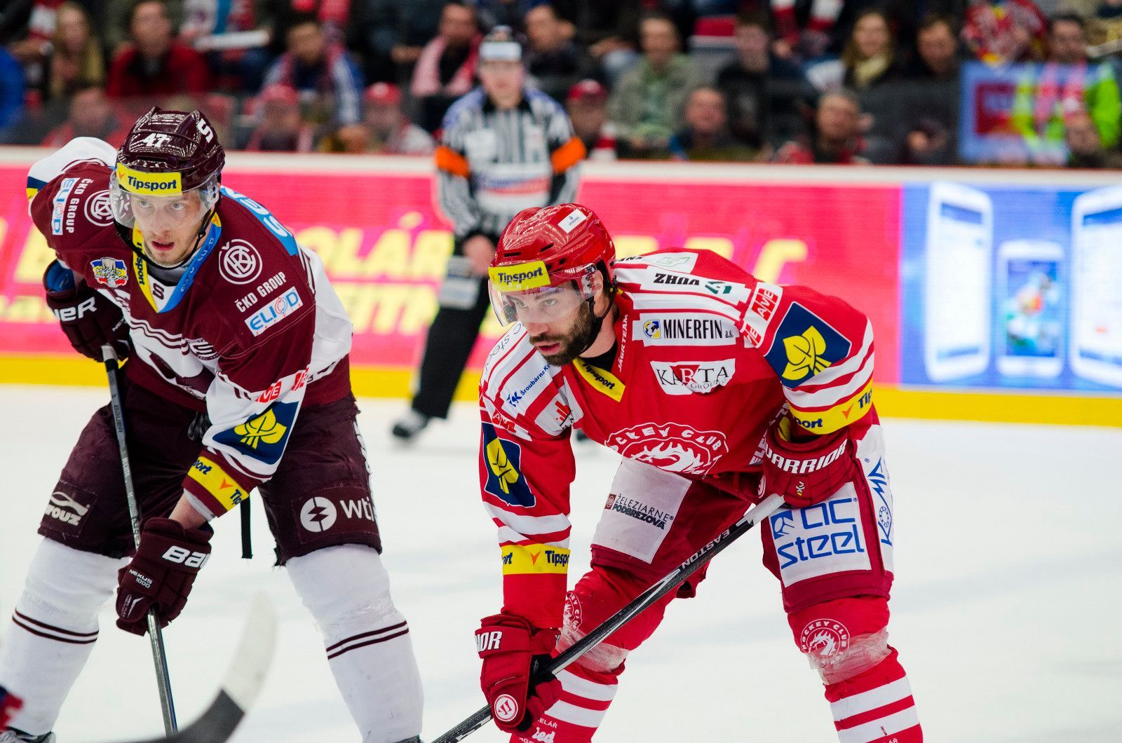 TELH, Třinec-Sparta: Jan Buchtele