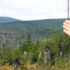 Národní park Šumava 24.9. 2015 - Tk o kůrovci