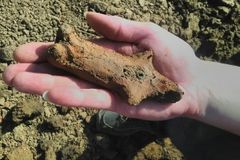 Na Zlínsku objevili sošku s korálkem v hrudi. Otrokovický Venouš nemá v Česku obdoby, říká archeolog