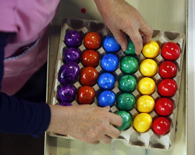 An employee sorts cooked and coloured eggs on a conveyor belt at the Beham coloured eggs company in Thannhausen, near Augsburg March 18, 2013. Beham is Bavaria's biggest coloured eggs producer and has stepped up its production to 200,000 eggs per day to meet the high demand ahead of Easter. REUTERS/Michael Dalder (GERMANY - Tags: RELIGION SOCIETY FOOD) Published: Bře. 18, 2013, 12:28 odp.