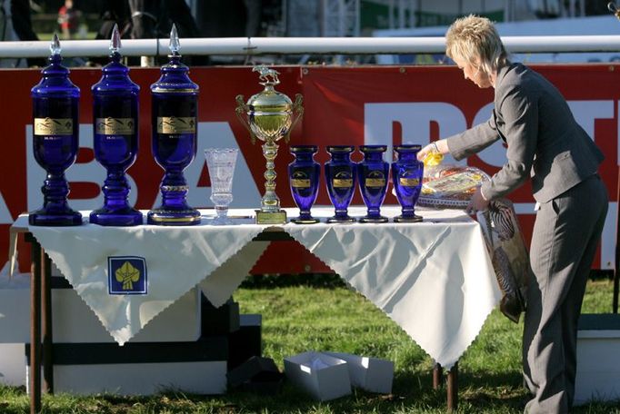 Poháry a ceny pro vítěze Velké pardubické.