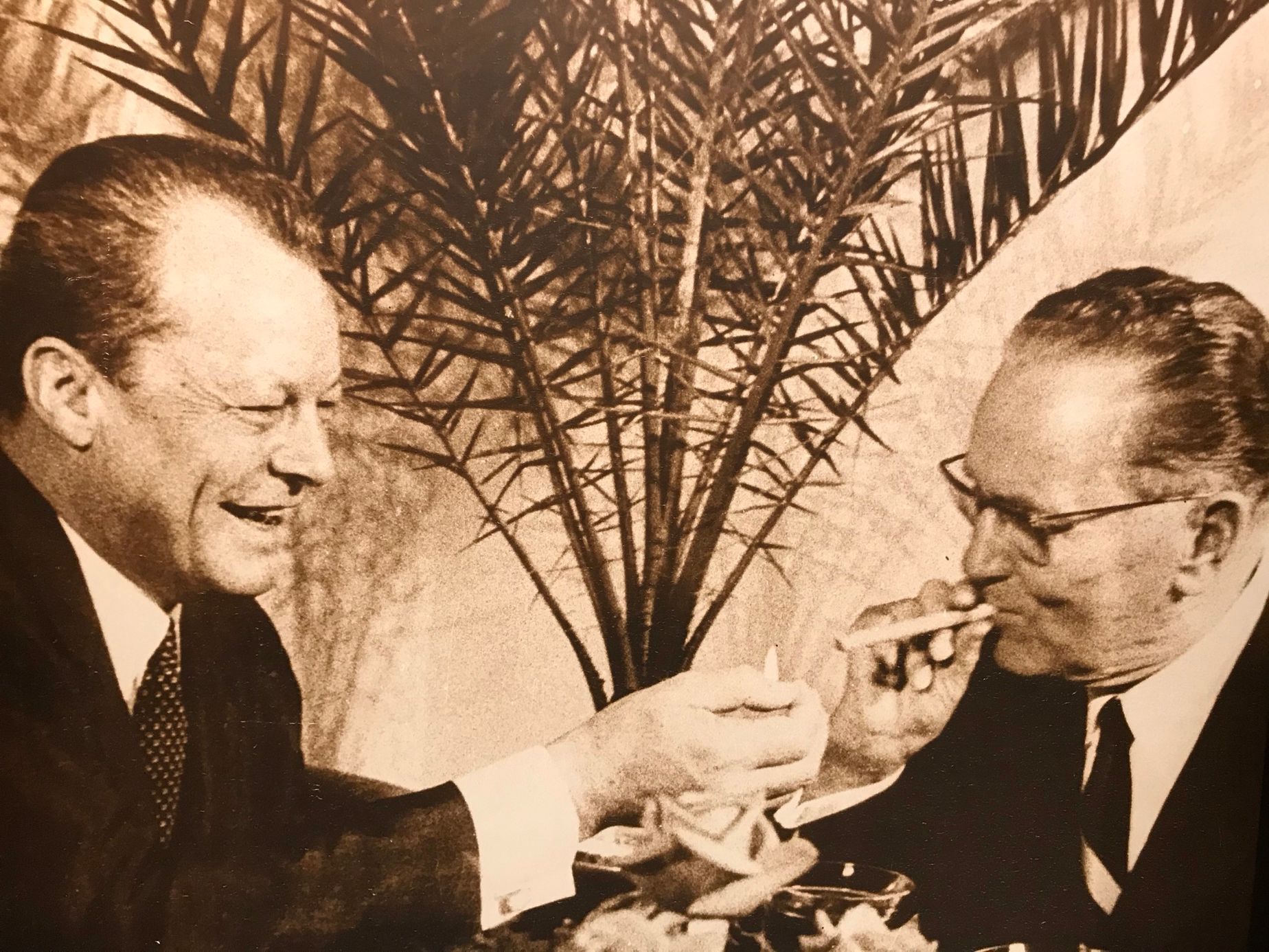 brijuni muzej