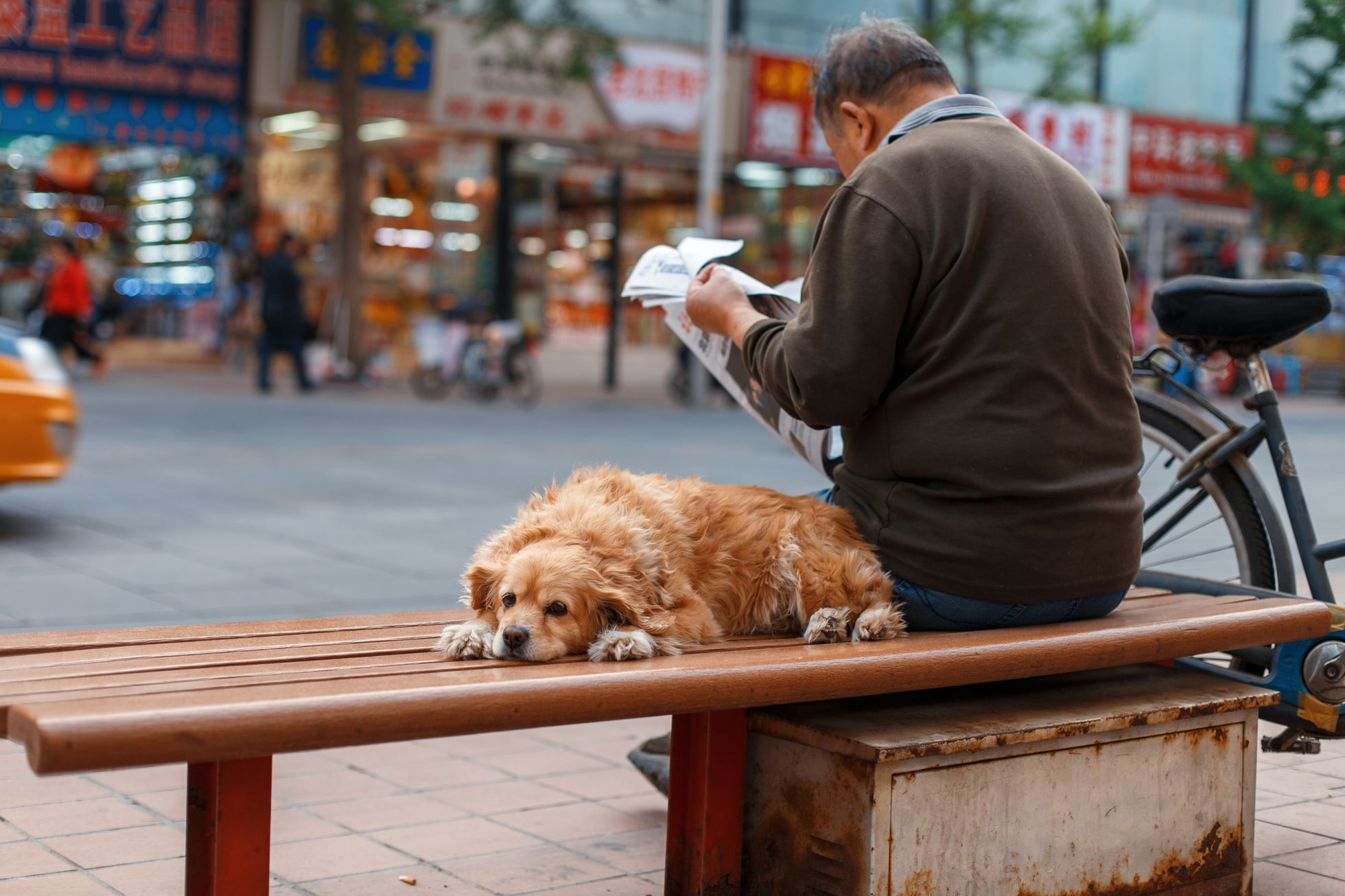 Čína, muž a pes, ilustrační foto.