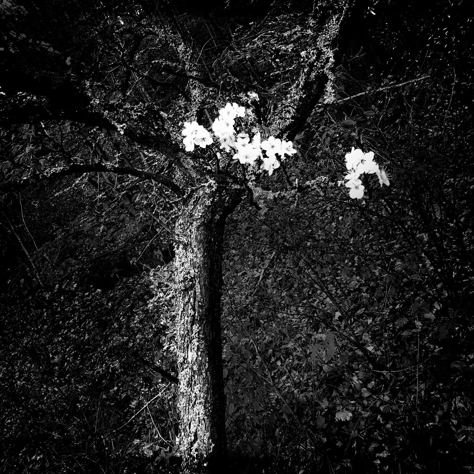 Skupinová výstava fotografek "SISTER OF A SISTER OF A SISTER" v Leica Gallery