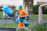 Lidé hromadně odkládají své nepotřebné vánoční stromky k popelnicím, a speciálním posádkám popelářských vozů tak začínají každoroční zelené šichty.