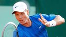 Český tenista Tomáš Berdych vrací míček Argentinci Juanu Martinovi Del Potrovi během osmifinále French Open 2012