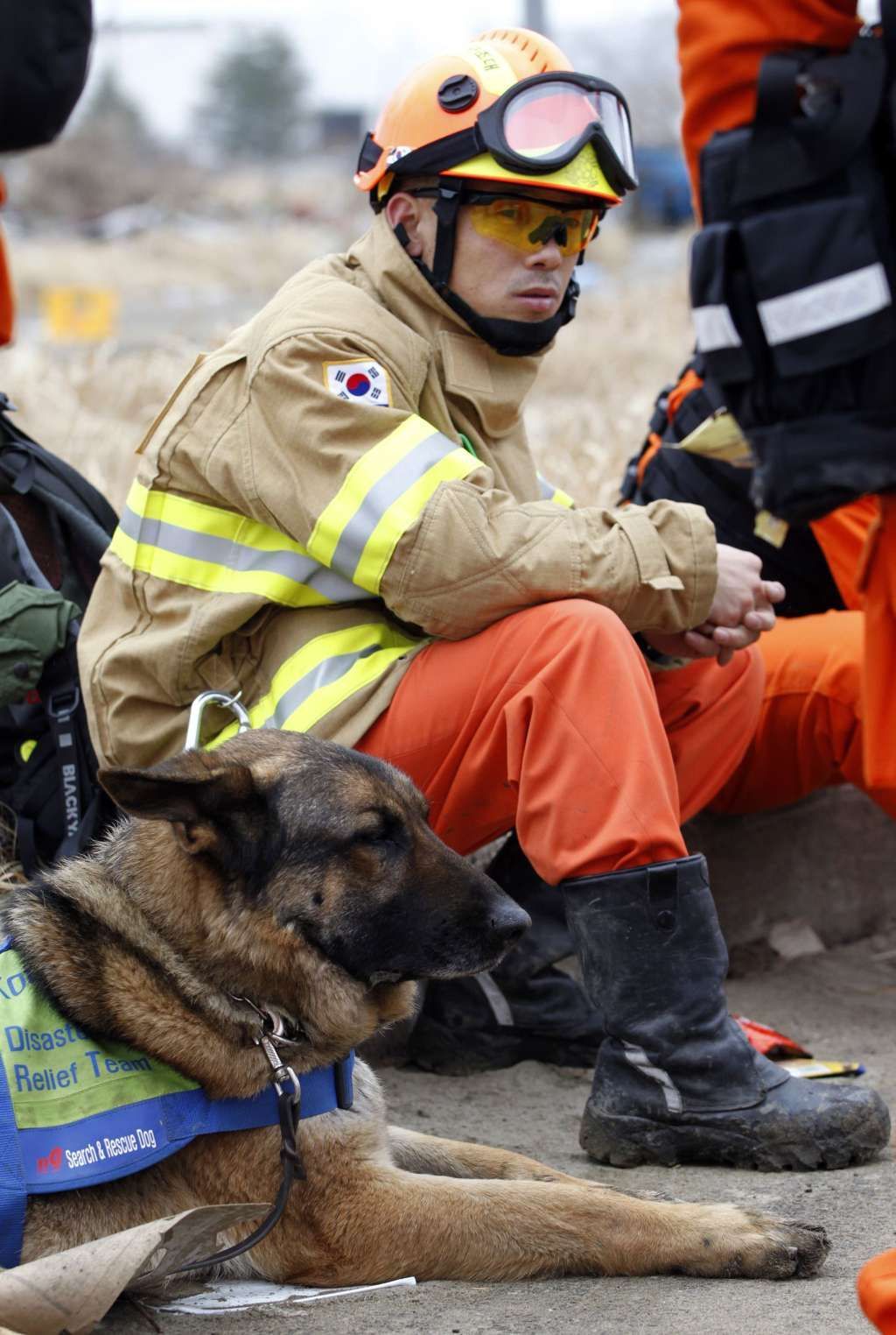 Japonsko po katastrofě - jihokorejský záchranářský pes