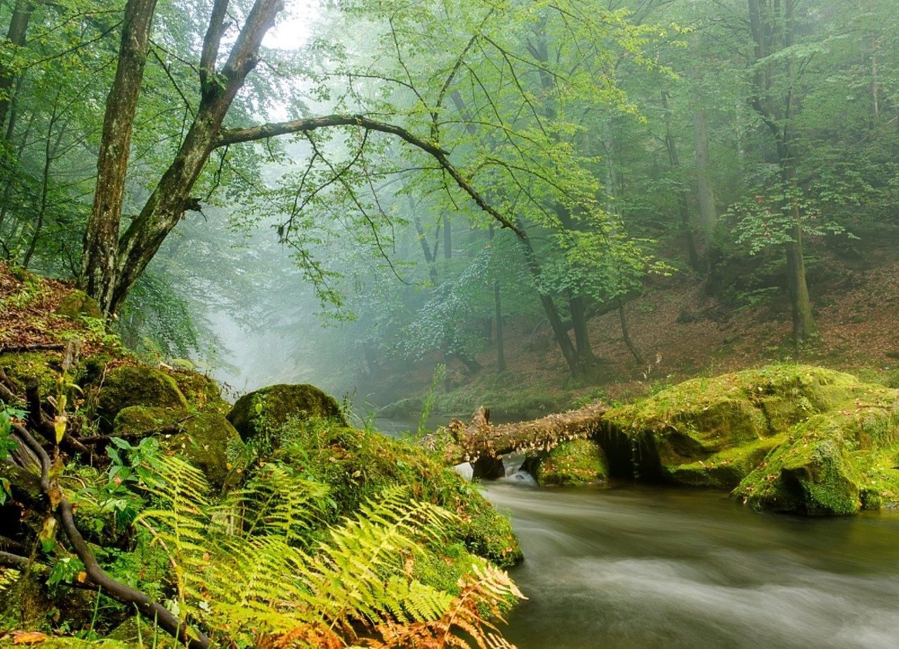 Petr Jan Juračka - Vzpomínky na svět