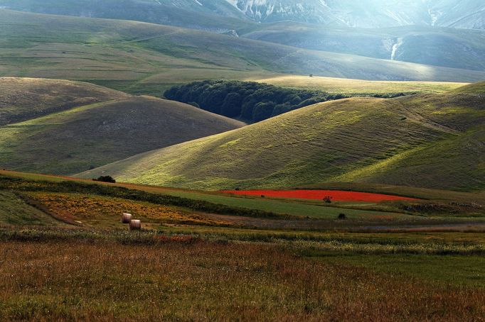 Rozkvetlá letní pole v okolí italské vesnice Castelluccio di Norcia