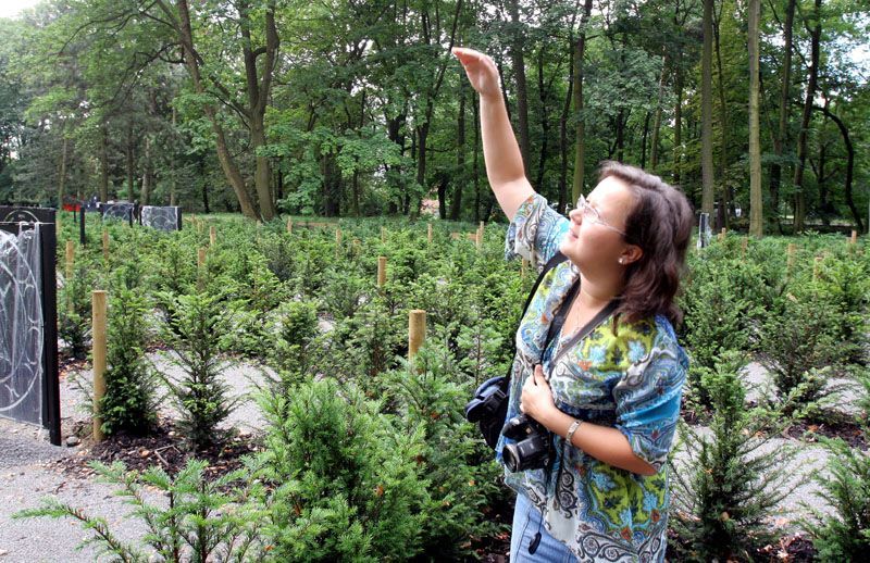 Bludiště a labyrinty v zámeckém parku v Loučni