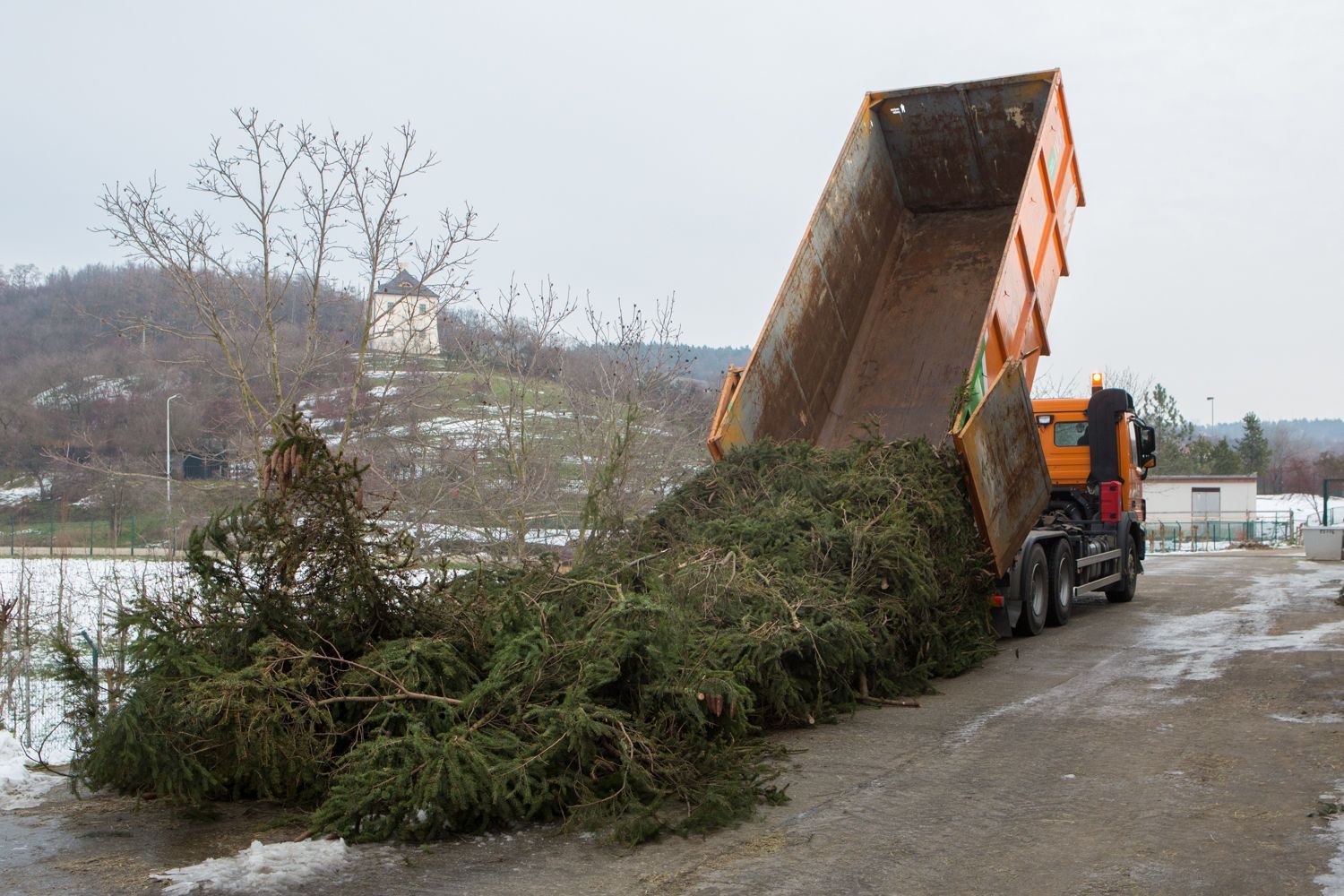 Kácení vánočního stromu na Staroměstském náměstí