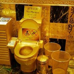 Zlatá toaleta