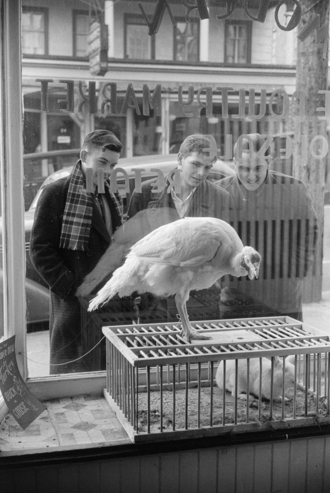 Jack Delano, fotografie USA před II. světovou válkou