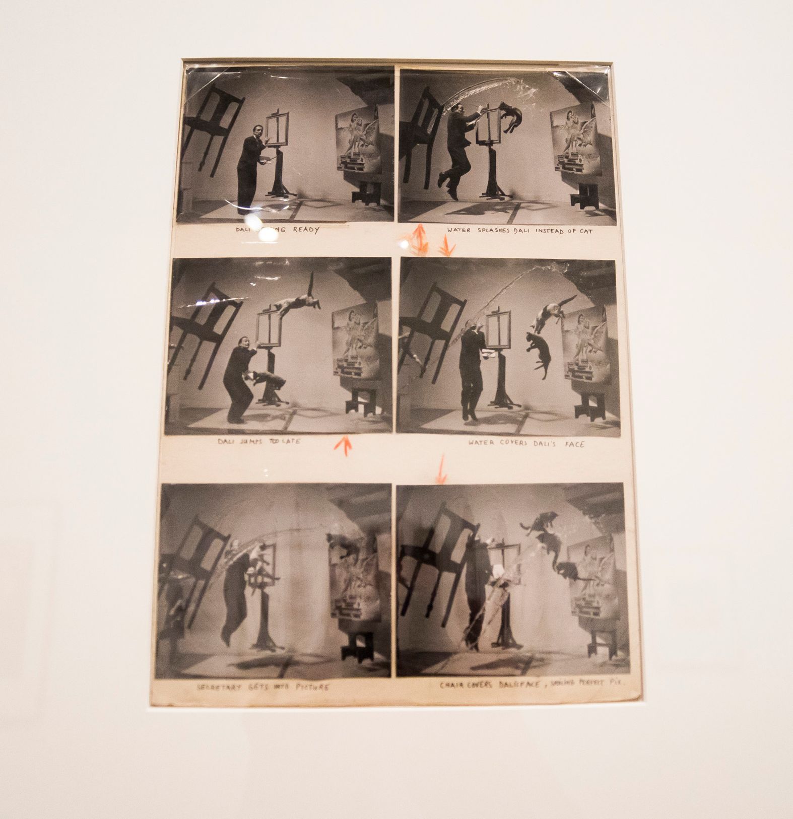 Philippe Hasmann: Ohrom mě! (výstava)