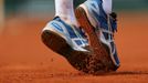 French open 2013 (Monfils)