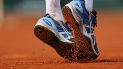French open 2013 (Monfils)