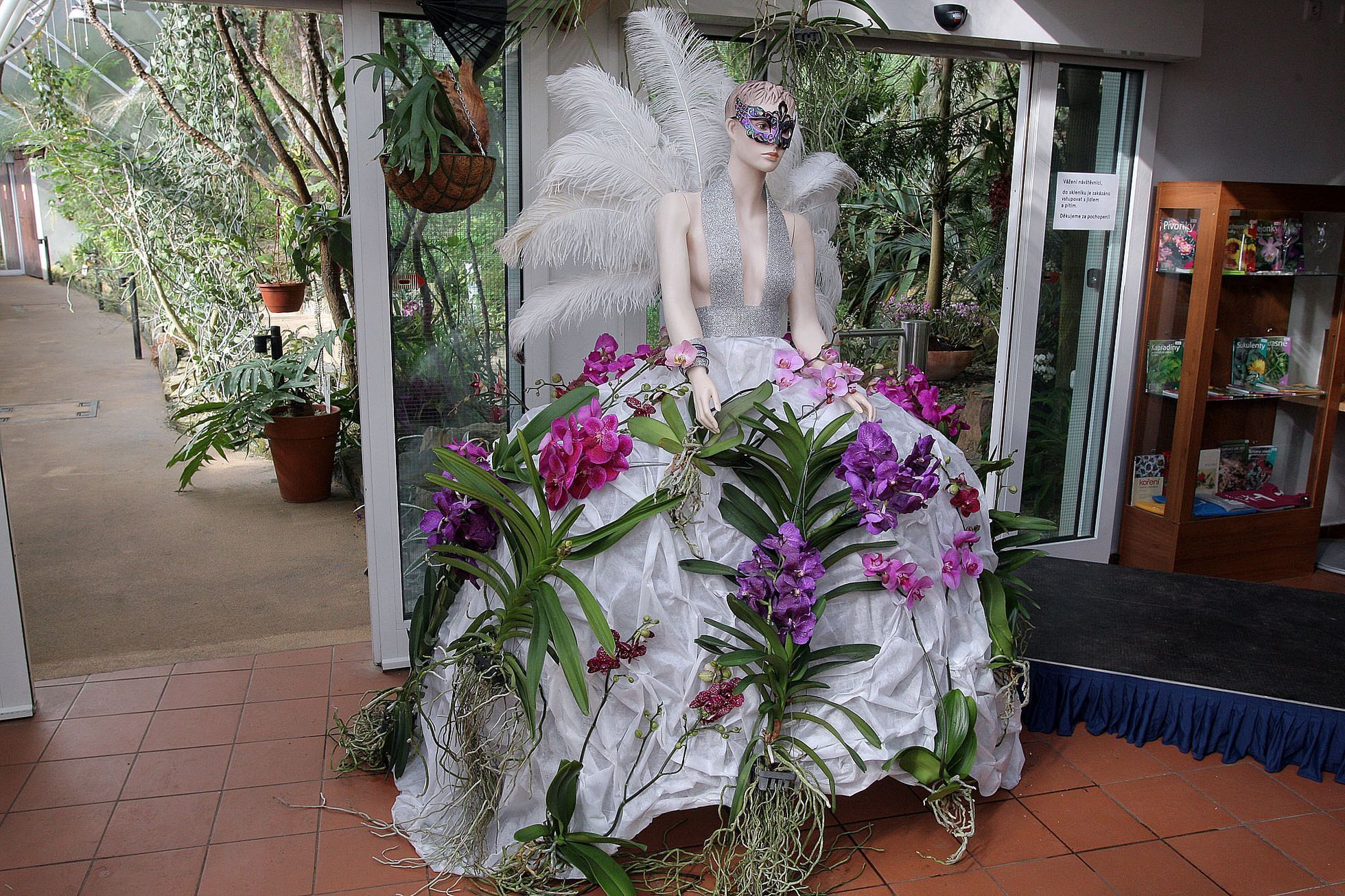 Orchideje v botanické zahradě