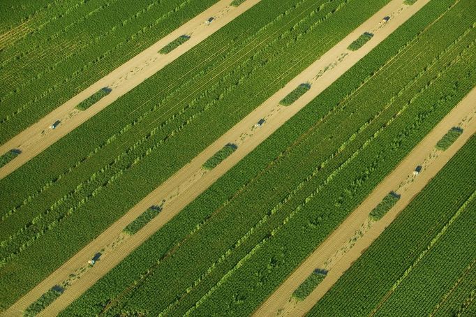 Idaho v USA Letecký snímek vzor smíšených zemědělských polích Aerial pattern image of mixed agricultural fields