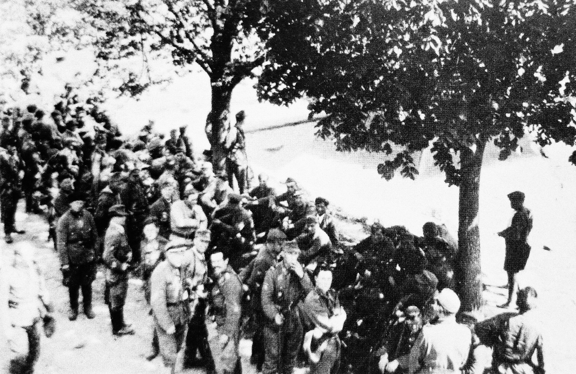 Jednorázové užití / Vlasovci - 1945 / New / Duben 2020