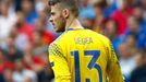 Euro 2016, Itálie-Španělsko: David de Gea