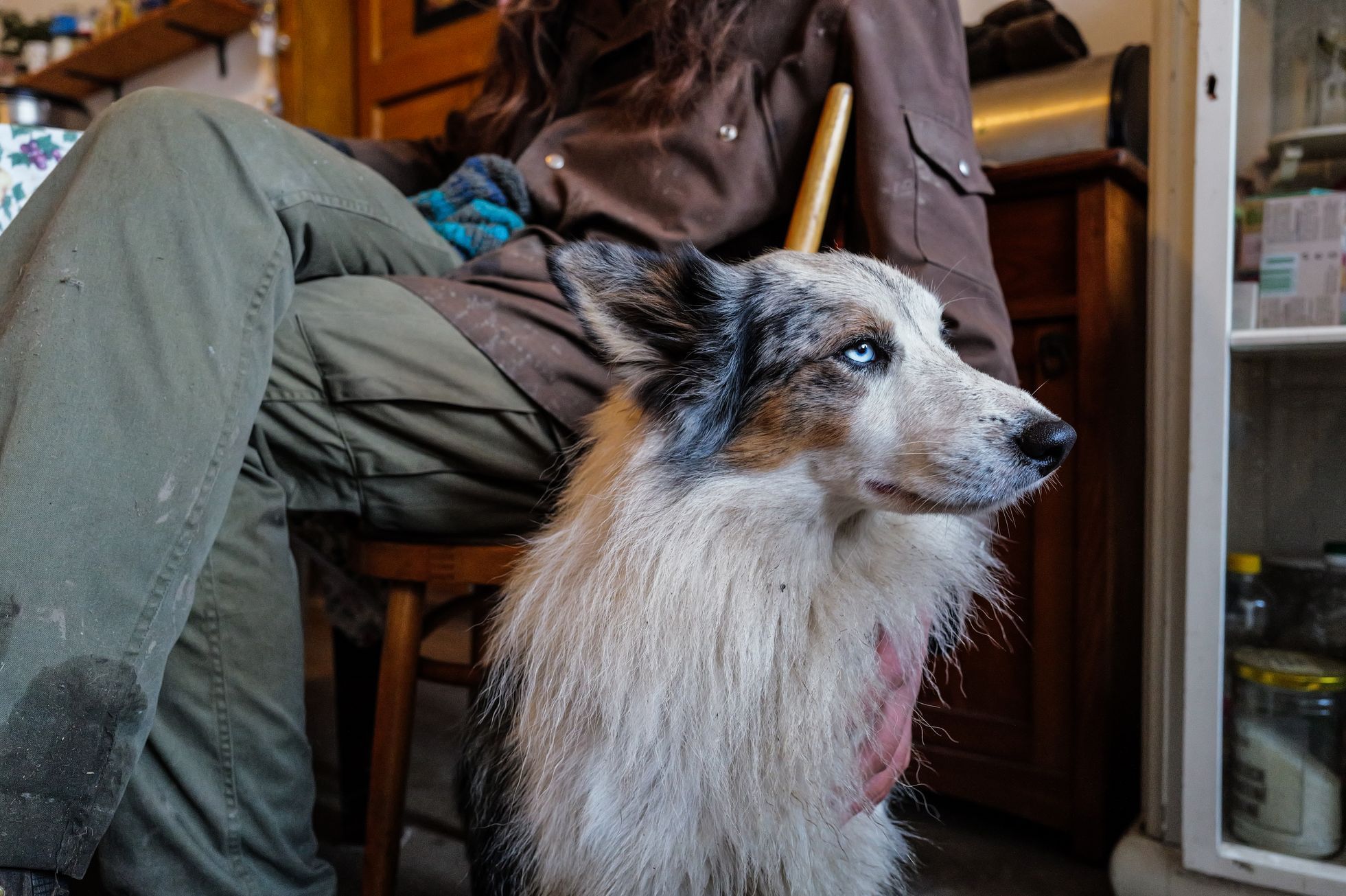 marek slovacek, mezi poli