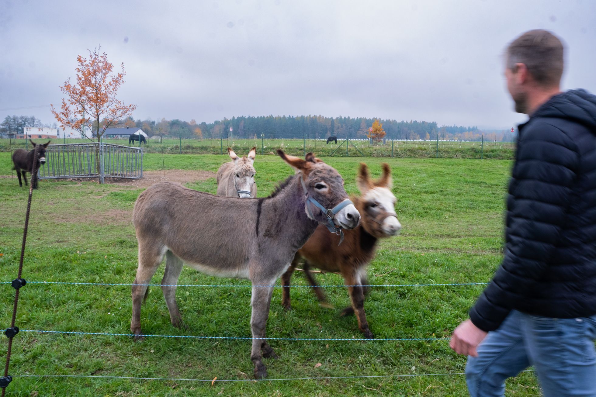Hornický penzion Brdy