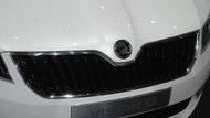 Koncept nového vozu je první auto, na kterém se objevilo nové logo Škoda. Od roku 2012 ho budou mít na svých karosériích všechny modely značky