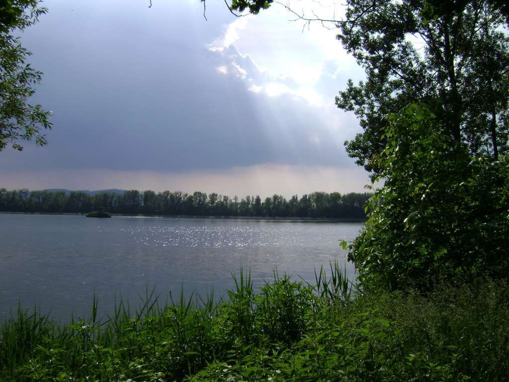 Dokumentujeme.cz - Pozdní léto