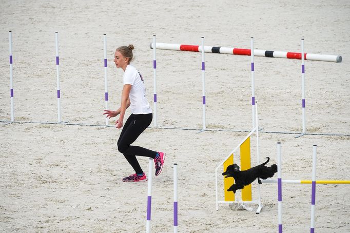 Mezinárodní kynologické závody Prague Agility Party 2022, závodiště Velká Chuchle