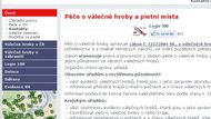 Chcete-li zkusit najít informace o konkrétním padlém vojákovi, klikněte v menu v levém sloupci na položku Evidence VH. (VH = válečné hroby)