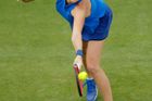 Wimbledon: Kvitová chce zlomit špatnou sezonu, Veselý trénink s Federerem neodmítl