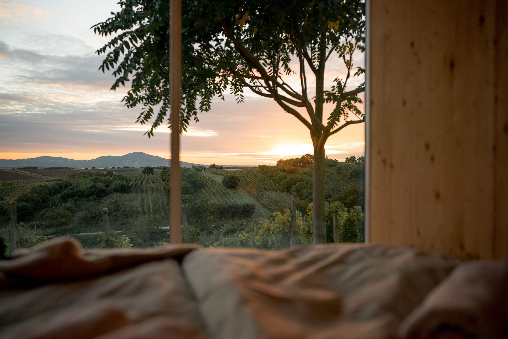 Glamping Ve vinohradě