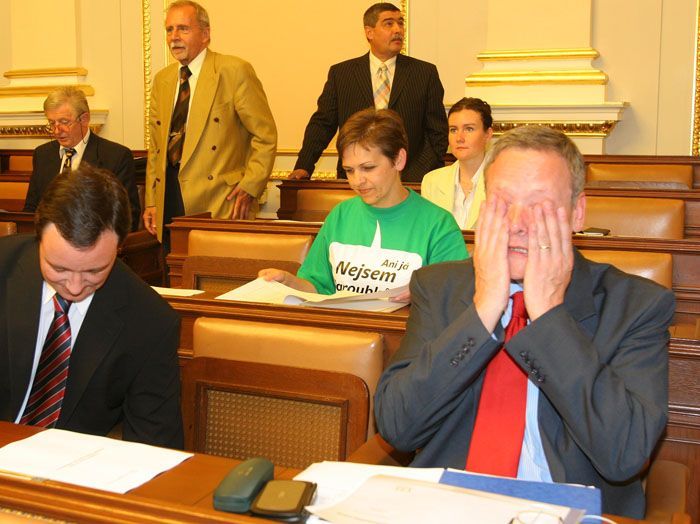 Topolánkova vláda poprvé ve sněmovně