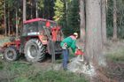 Dřevařská firma chce po státních lesech pět miliard