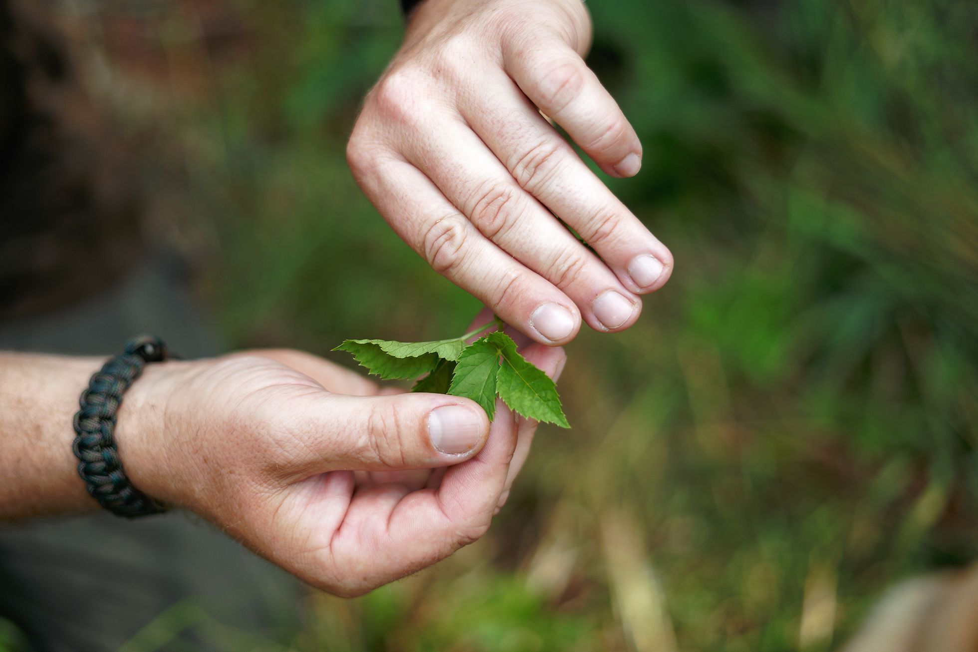 Bushcrafting, zálesáctví, pobyt v přírodě, les, bushcraft, Tomáš Krákora, kurz přežití