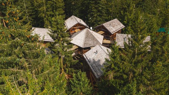 Wooden cottages built a few meters above the ground in the treetops offer a unique experience.