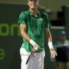 Tenis - Miami: Tomáš Berdych