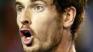 Andy Murray ve finále Australian Open 2016