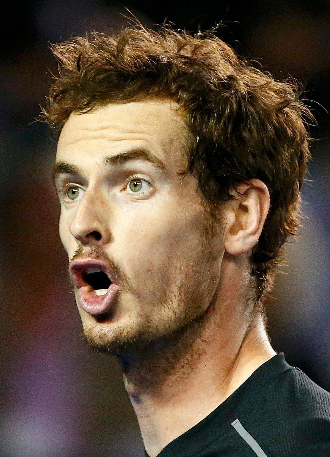 Andy Murray ve finále Australian Open 2016