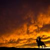 Foto: Nejkrásnější fotografie ze kanadské soutěže National Pictures of the Year