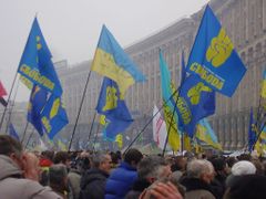 Vlajky se znakem strany Svoboda - dlaní se třemi zdviženými prsty - byly na kyjevském Majdanu nepřehlédnutelné.