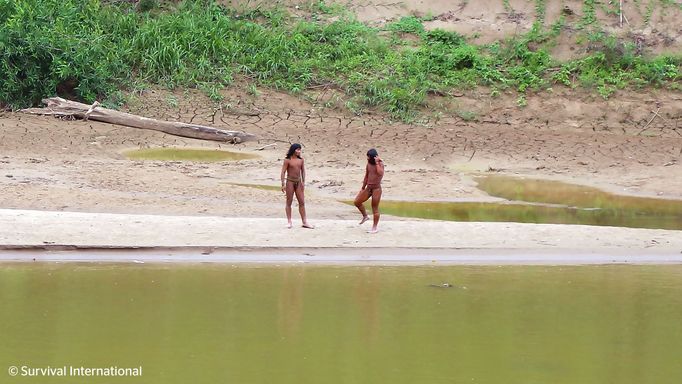 Nekontaktovaný kmen Mašco Piro z Amazonie opouští prales, pravděpodobně kvůli těžařům.