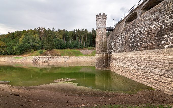 České sucho v obrazech: Vyschlá přehrada Pařížov a slunečnice spálené sluncem