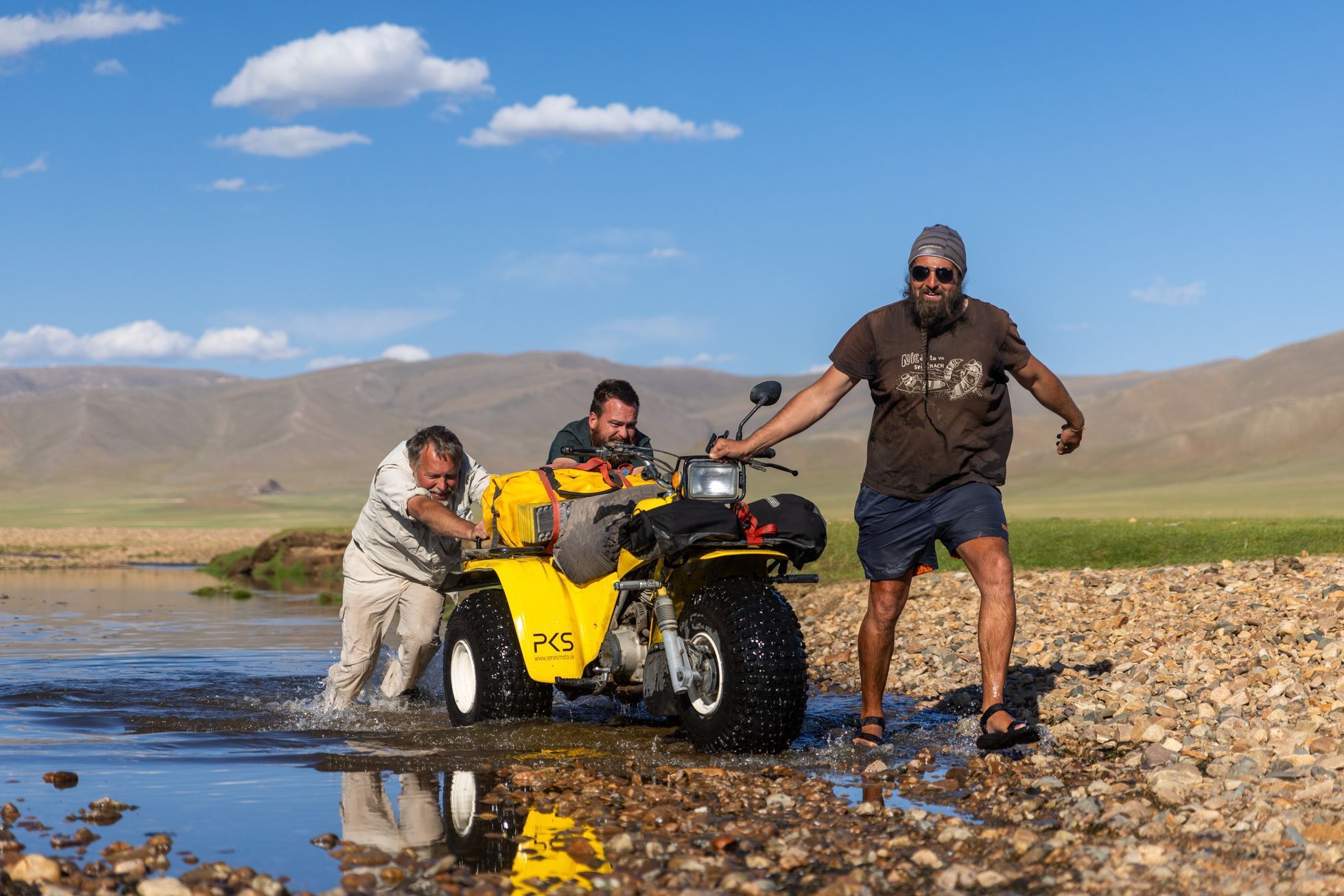 Žlutá žába pluje